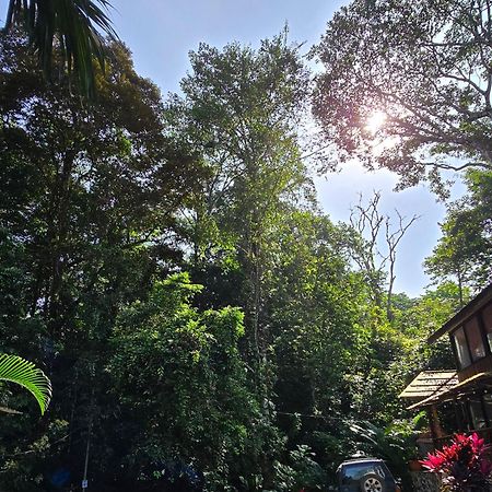 Cool Waters Jungle Villas 우비타 외부 사진