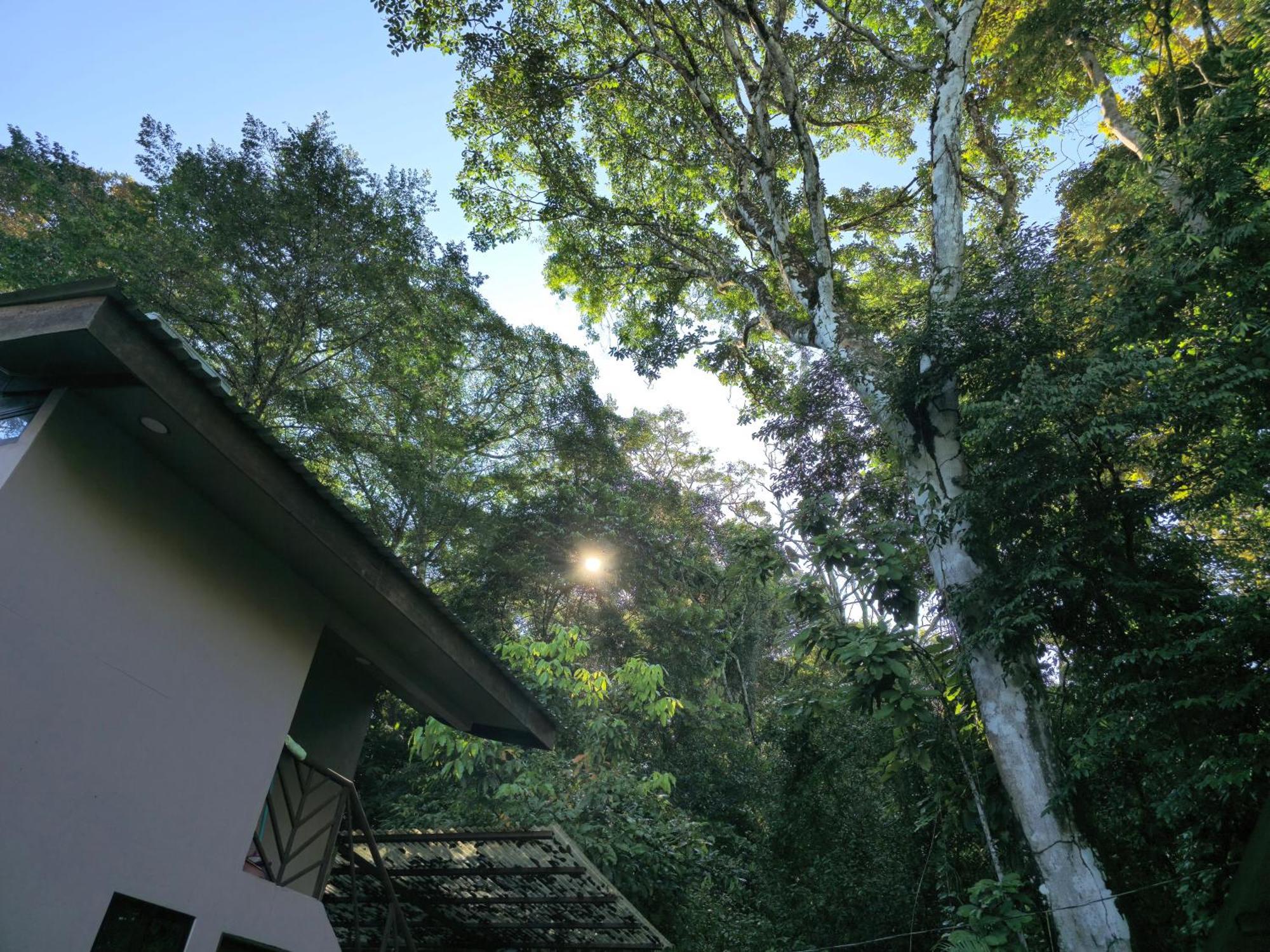 Cool Waters Jungle Villas 우비타 외부 사진