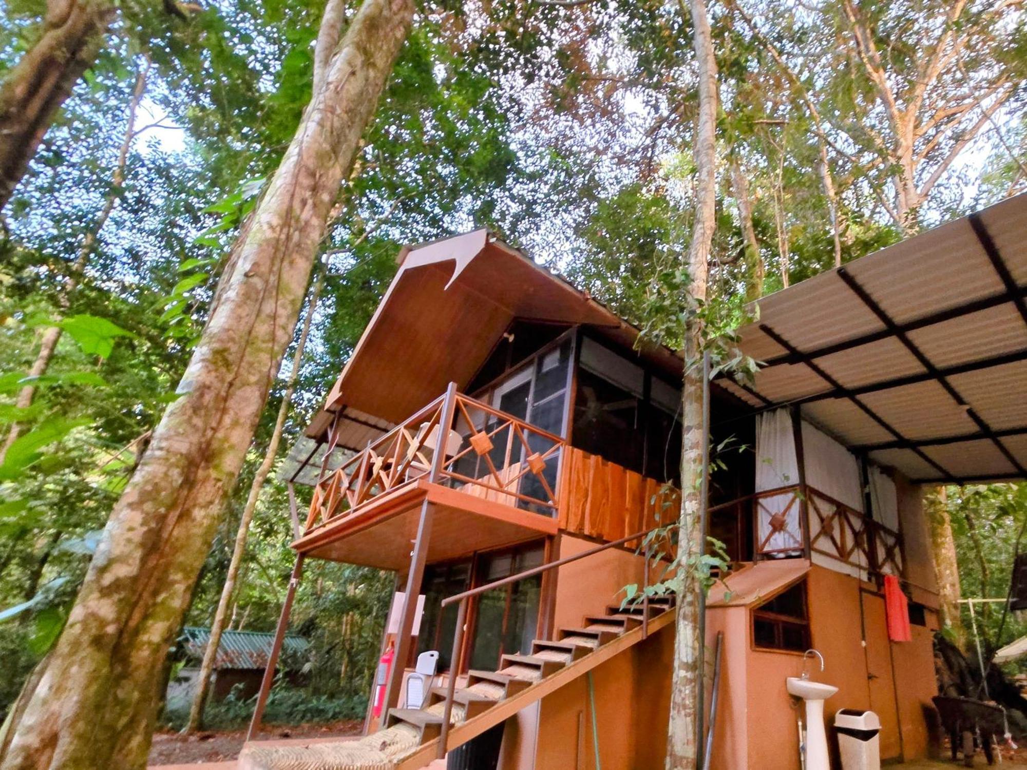 Cool Waters Jungle Villas 우비타 외부 사진