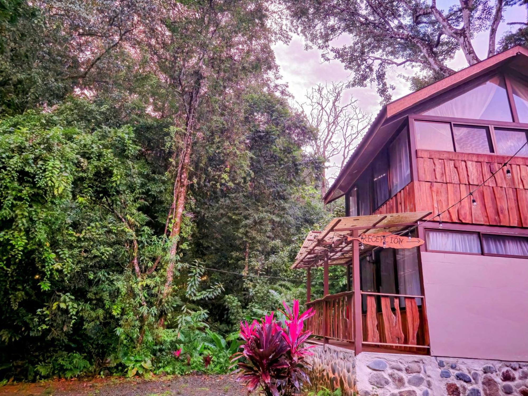 Cool Waters Jungle Villas 우비타 외부 사진