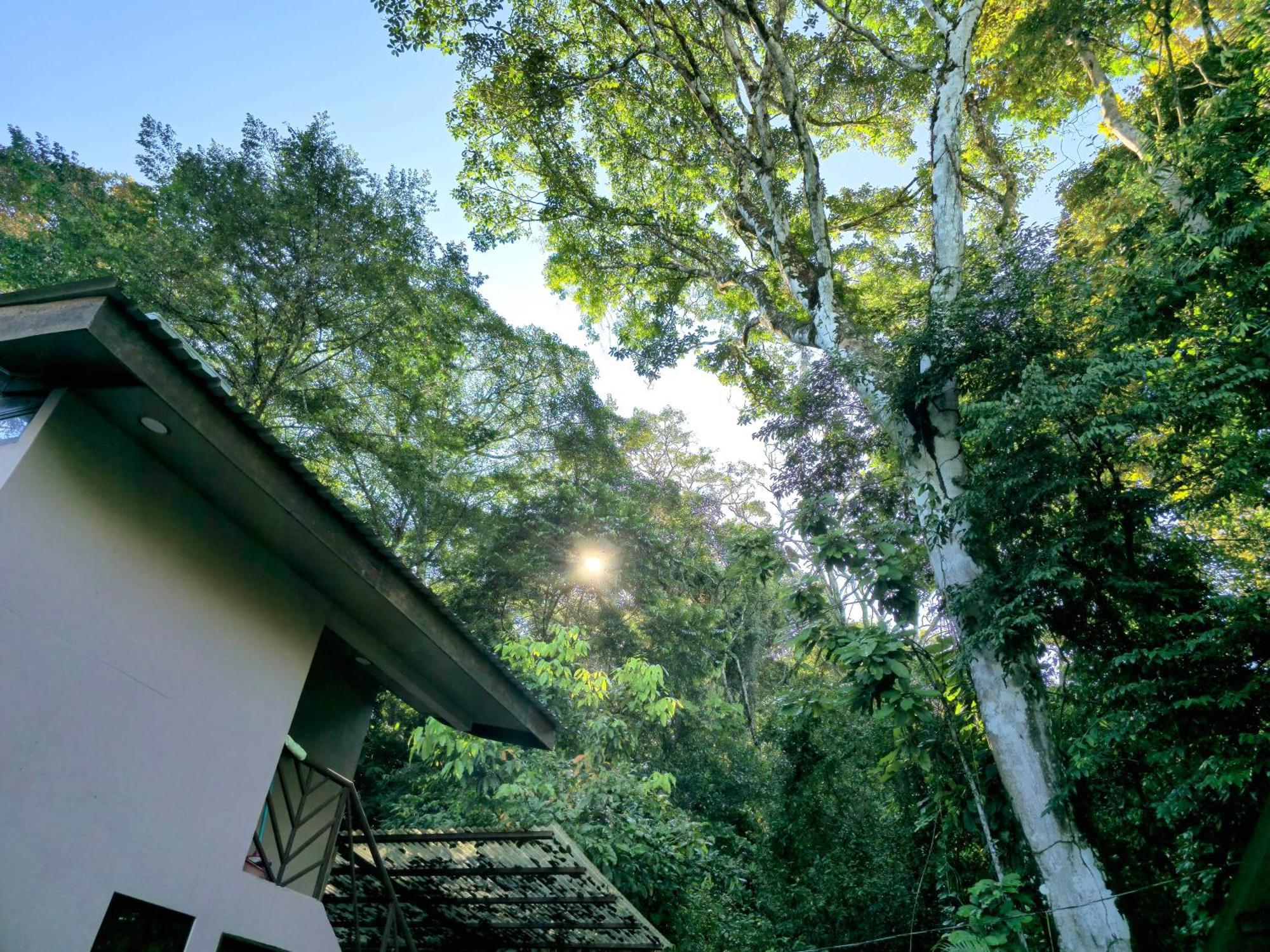 Cool Waters Jungle Villas 우비타 외부 사진