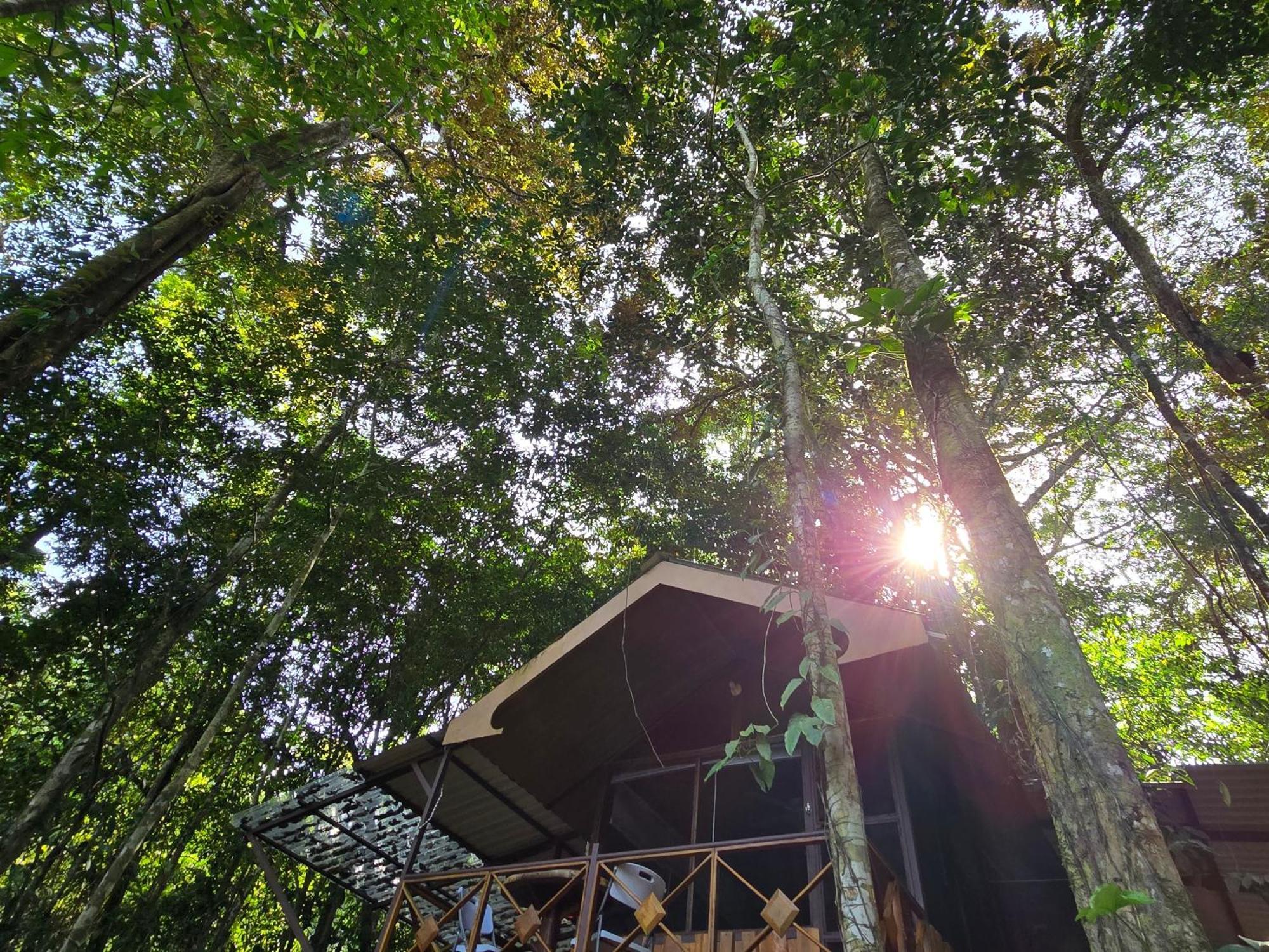 Cool Waters Jungle Villas 우비타 외부 사진