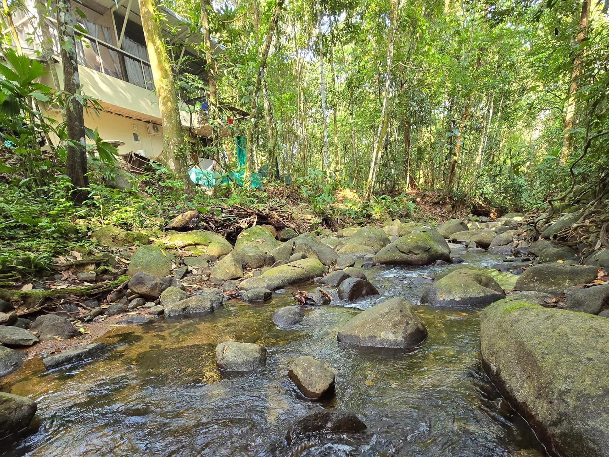 Cool Waters Jungle Villas 우비타 외부 사진