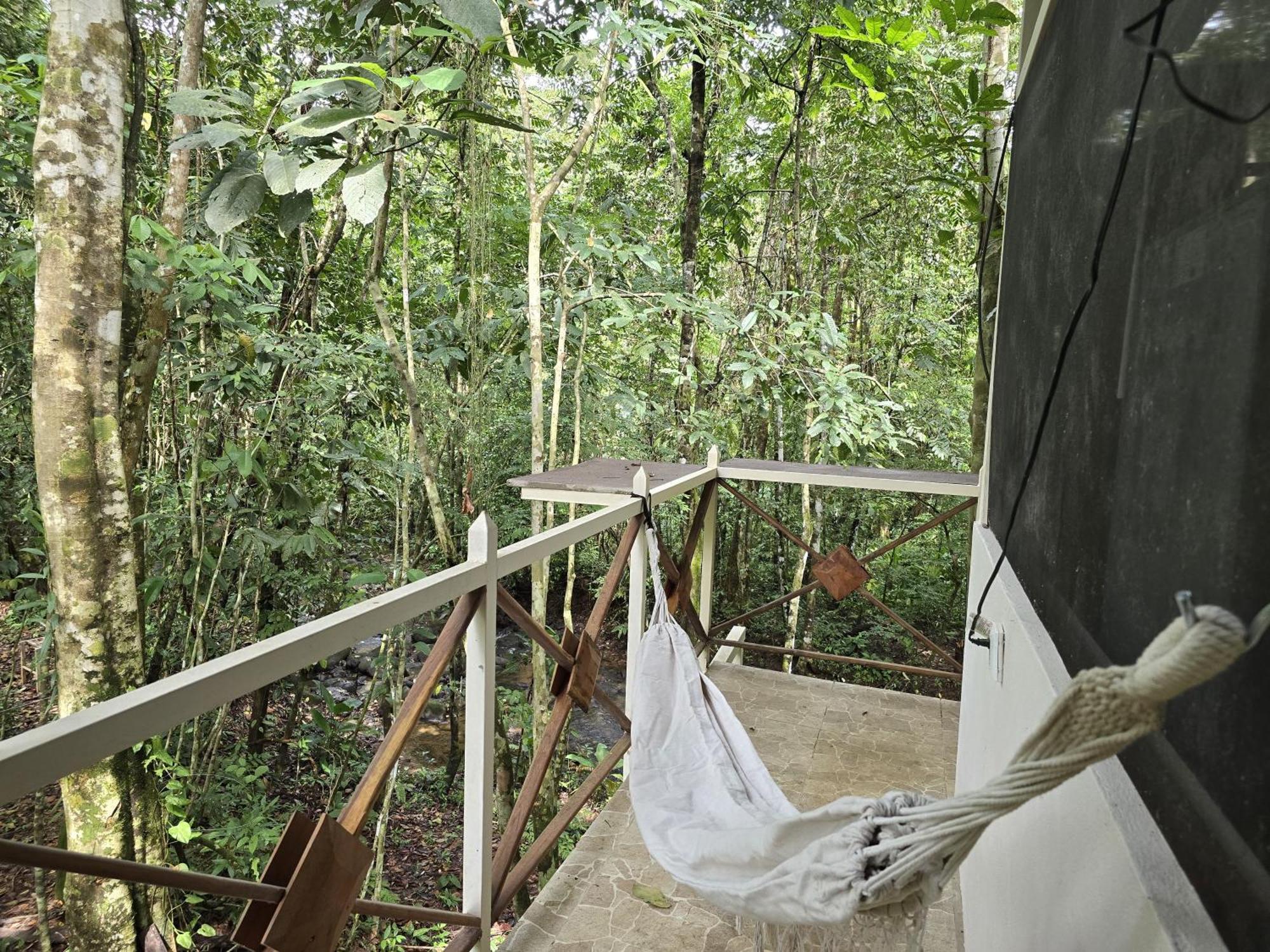 Cool Waters Jungle Villas 우비타 외부 사진